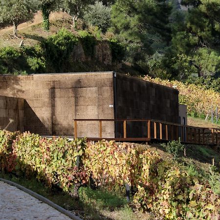 Dois Lagares House Bed & Breakfast Pinhao Exterior photo