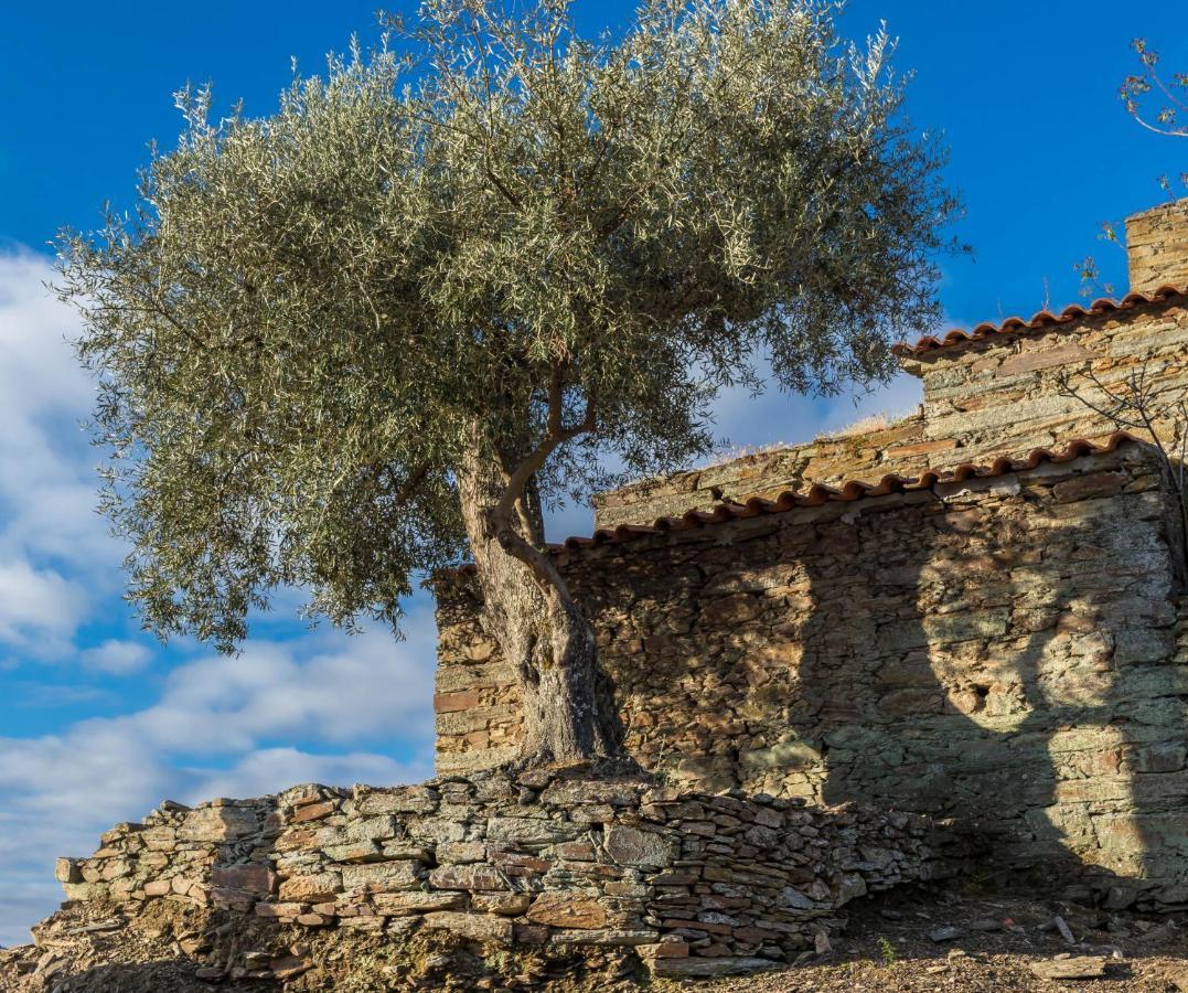 Dois Lagares House Bed & Breakfast Pinhao Exterior photo